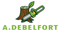 elagage-a-debelfort